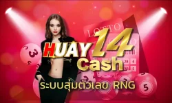 ถ้าใครเคยเล่นหวยออนไลน์มาสักพัก น่าจะเคยมีโมเมนต์ที่สงสัยเหมือนกันว่า ระบบสุ่มตัวเลข RNG ตัวเลขที่เราเห็นมันสุ่มจริงไหม
